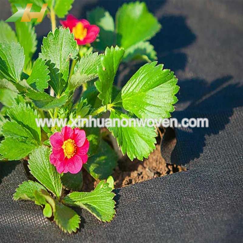 non woven weed barrier